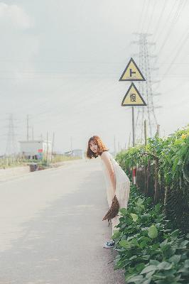 大秦赋全集在线观看免费完整版