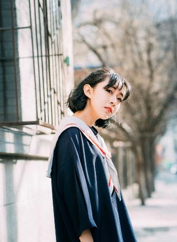 三分野电视剧免费观看完整版高清