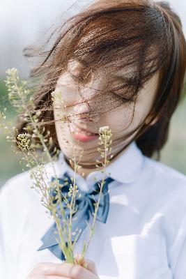 正阳门下电视剧全集免费观看