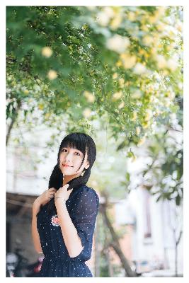 完美世界全集在线观看