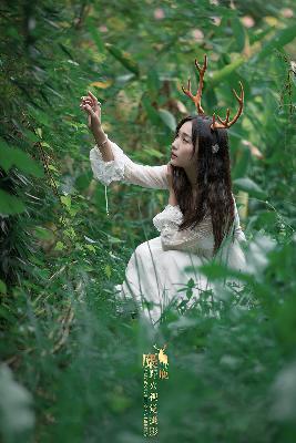 成全MV在线观看