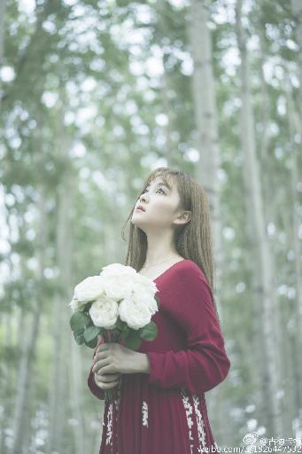 以家人之名电视剧全集免费观看