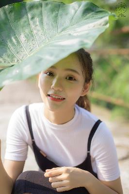 冰雪尖刀连 电视剧 在线观看