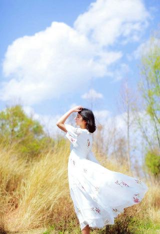 扫黑风暴电视剧在线观看免费完整版