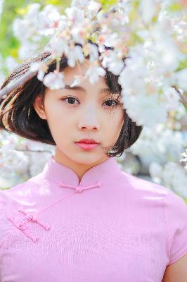 继承者们电视剧全集免费观看