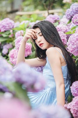 赴山海电视剧免费观看完整版